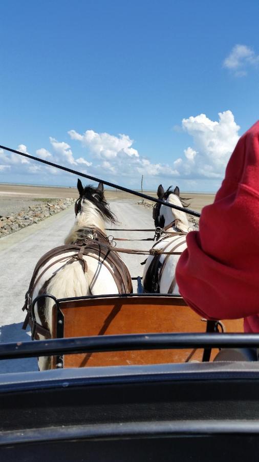 Отель Les Chevaux De L'Hippocampe Mont-Dol Экстерьер фото